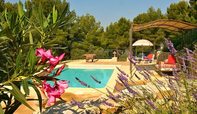 South-facing Provencal villa. Dominant view. Swimming pool open from April to October