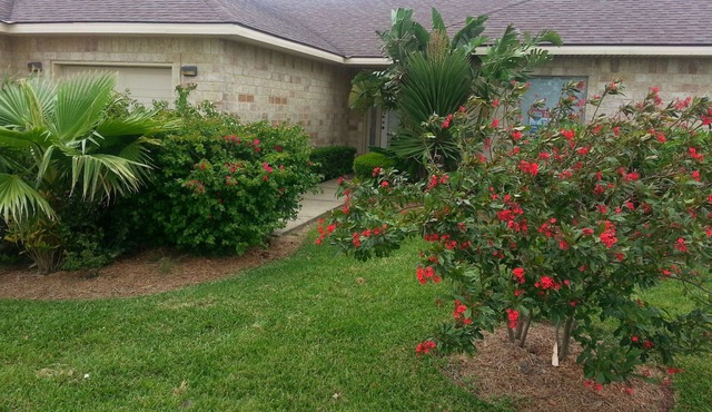 South Padre retreated on the pond