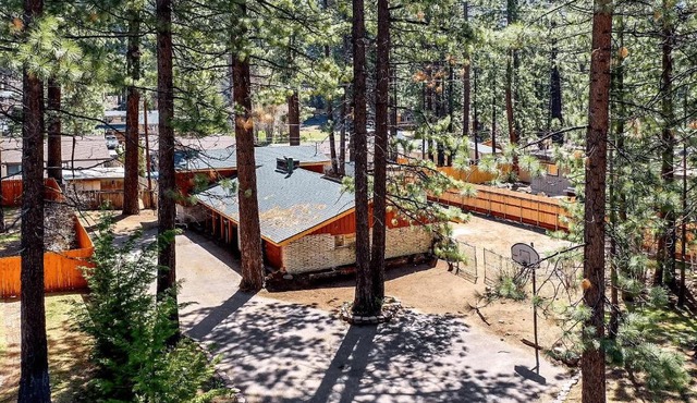 South Tahoe Rustic Home! Sleeps Over 10! home