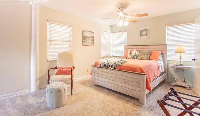 SOUTH TAMPA, HYDE PARK, BAYSHORE, UNIV TAMPA, TAMPA GENERAL, RIVERWALK- 5 STARS!