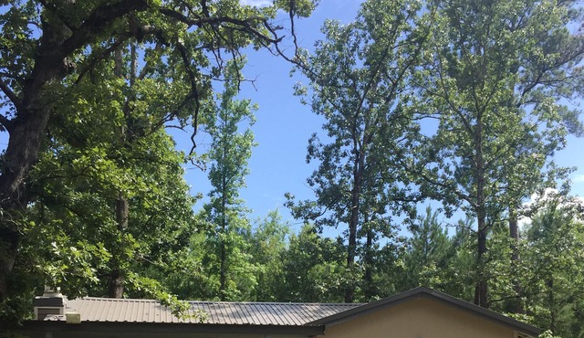 South Toledo Bend 2 Bedroom House (Pirates Cove) Outdoor Shower & Shuffleboard!