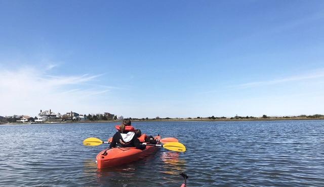 Southamp, POOL Open NOW! DogsStayFREE! nWaterview, Kayaks, PingPong