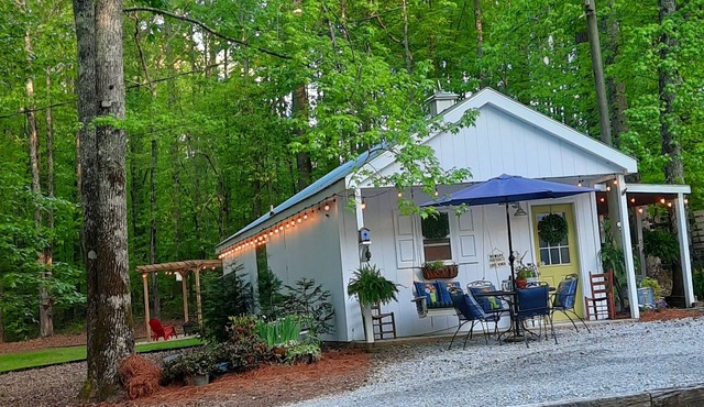 Southern cabin, bunkhouse, pet friendly close to town yet completely secluded!