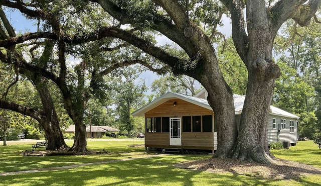 Southern Hospitality and Small-Town Living!