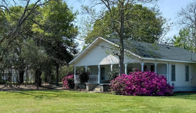 Southern Luxuries Farmhouse - Beautiful Romantic!