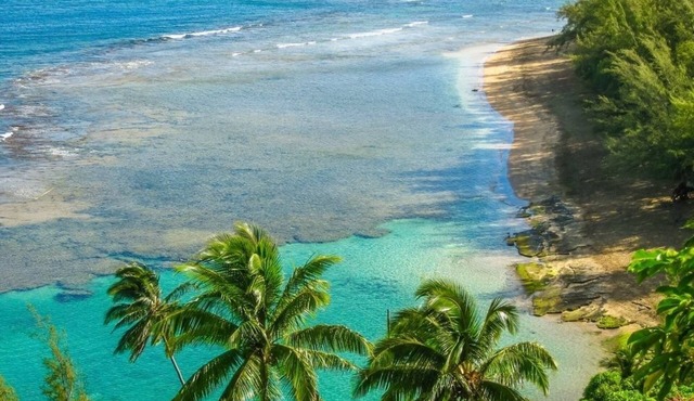 Southern Most Cottage in the USA with Comfy King Size Bed