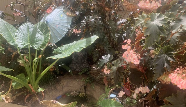 Southern suburb living in South Australia!