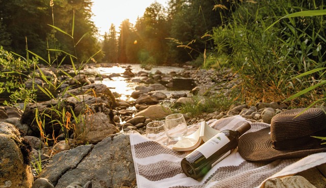 SouthFork Serenity Enchanting Riverfront Cabin with Large Deck - Pet-Friendly!