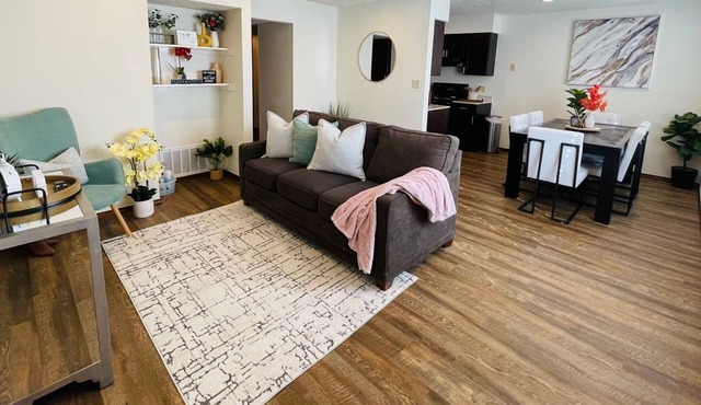 [SP 1145 - 1] New OU-2 bed 2 bath apartment close to OU 1
