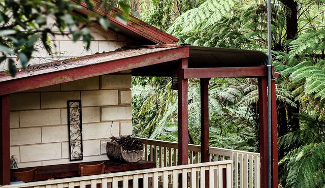Spa Cottage: Private rainforest with river
