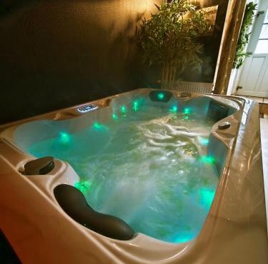 Spa et Sauna Le Roosevelt