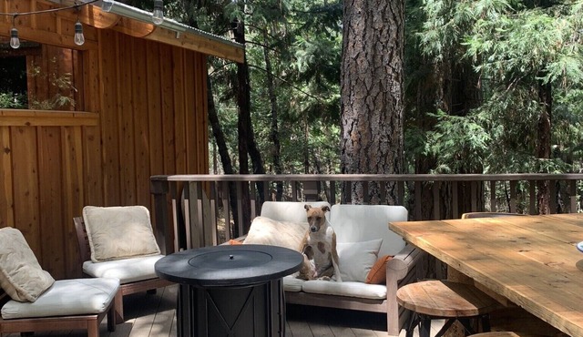 Spa getaway forest cottage