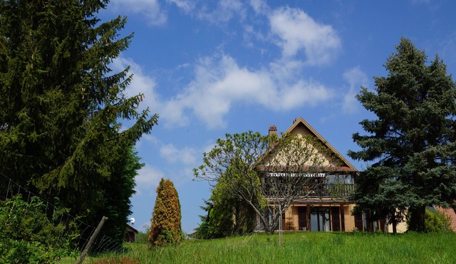 Space and horizon 'Les Petits Vignerons'