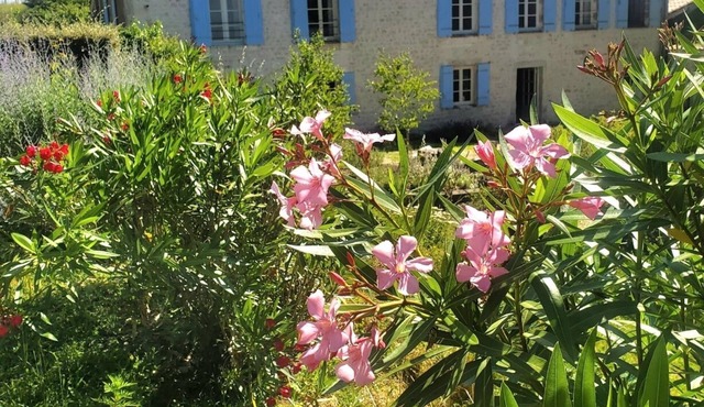 Spacious, recently converted Charentais farmhouse in small commune