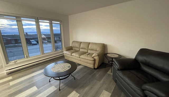 Spacieux appartement au centre de RDL