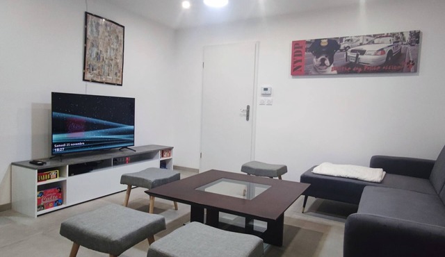 Spacieux et Serein Avec Patio, Barbecue et Wifi