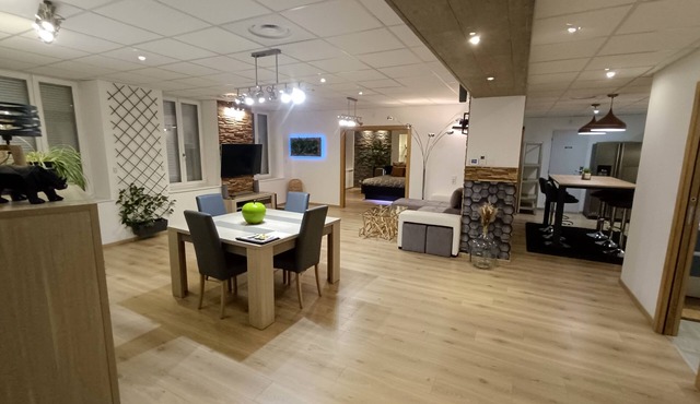 Spacieux Loft de 105 m² en Hyper Centre D'epinal