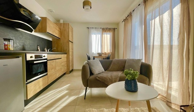 Spacieux Studio Avec Espace Chambre Séparé et Grande Terrasse