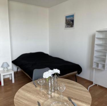 Spacieux studio rénové en centre ville - Apt7 - SDB commune