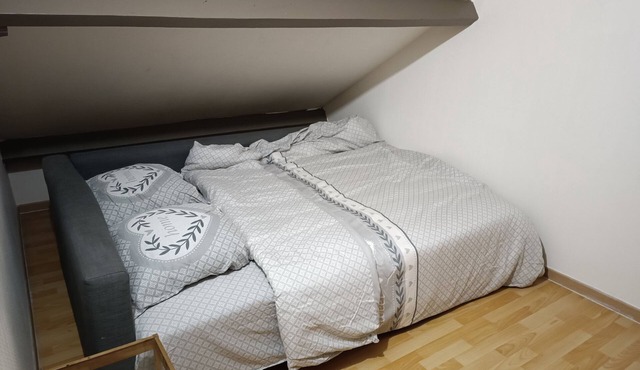 SPACIOUS HOUSE 10 MINUTES FROM ROISSY CHARLES DE GAULE AIRPORT