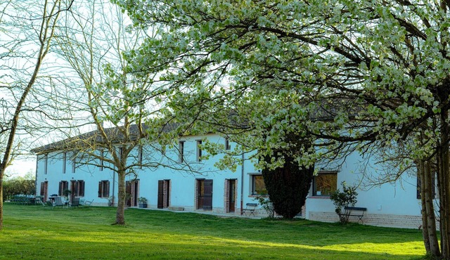 Spacious cottage Le Col Vert