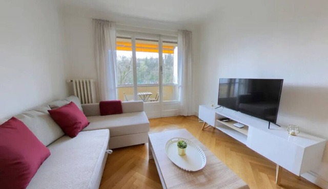 Spacious 1-Bedroom Apartment w/River Views & Balcony - Jonction District