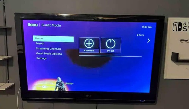 Spacious 1 bedroom suite w free parking near CFB, RMC & DT