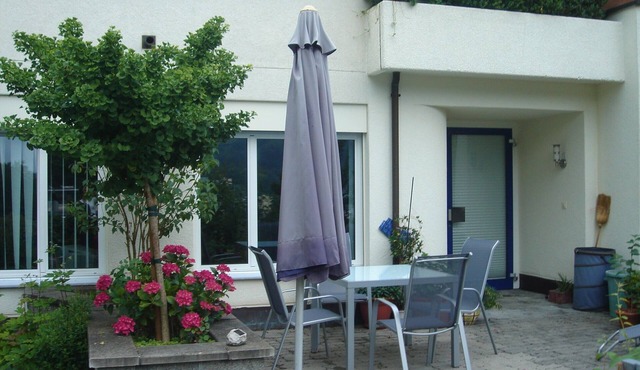 spacious 1-room apartment (65 sqm) with kitchen, separate bathroom with shower