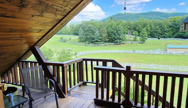 Spacious 11-bedroom house with AC and WiFi in charming Fishs Eddy