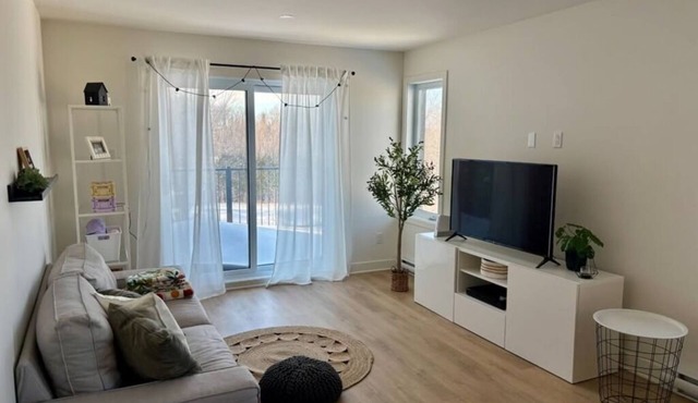 Spacious 1BRapartment in Laval, all included, wifi, parking