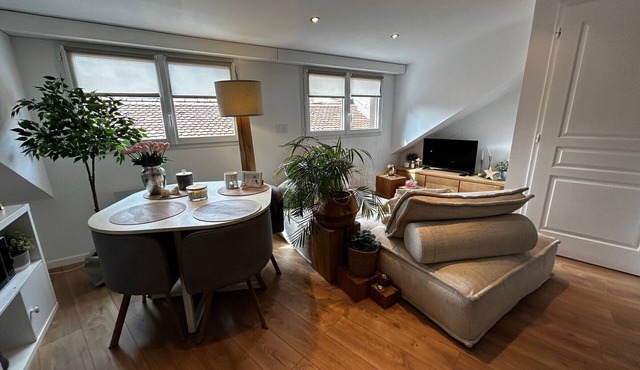 Spacious 2-bedroom apartment in Evian center with parking option