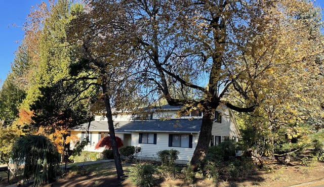 Spacious 2 bedroom apartment close to downtown!