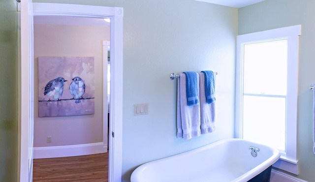 Spacious 2 bedroom historic home with two king beds and kitchenette.