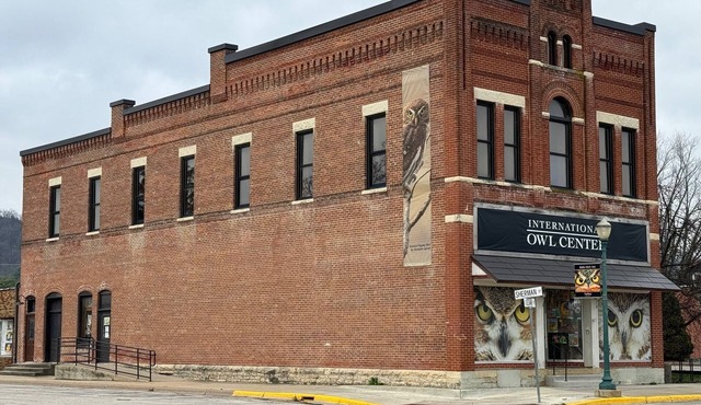 Spacious 2-bedroom loft above the International Owl Center in Houston, MN