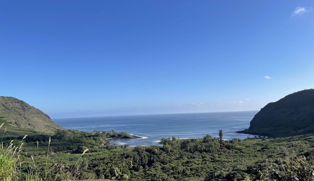 SPACIOUS 2BD/2BA PRIVATE QUIET W/CORNER LANAI IN MOLOKAI