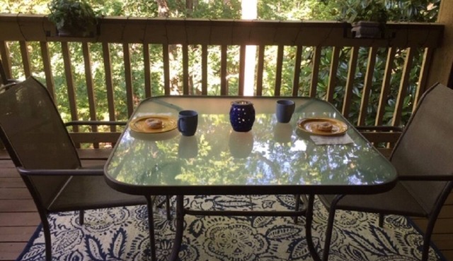 Spacious 2BR/2.5 BA condo steps to lake, DOG FRIENDLY!