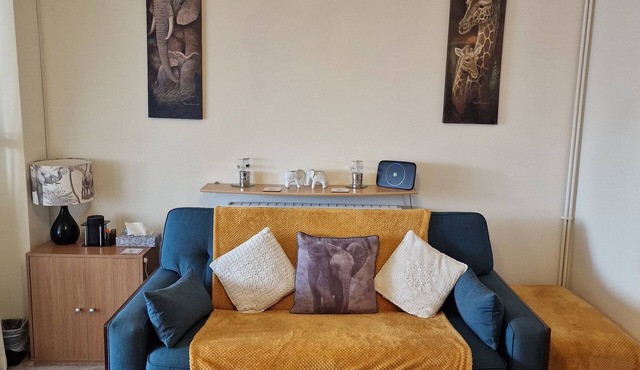 Spacious 3 bed semi/Gamesroom/Drive/10mins to City/Pet friendly