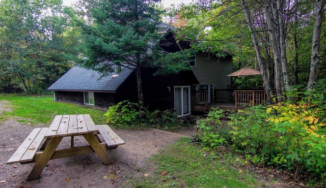 Spacious 3-bedroom Lodge nestled into the Northwoods. river access!
