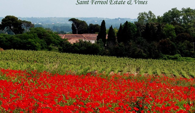 Spacious 3 bedroom vineyard villa, air conditioned, Domaine Saint Ferreol