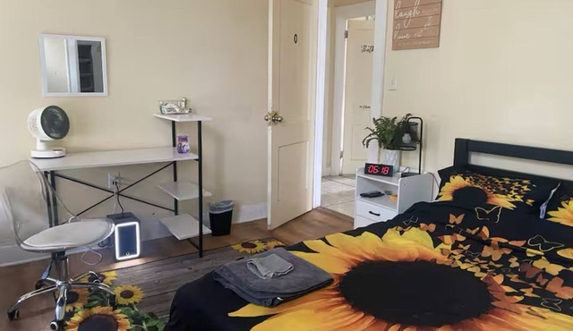 Spacious 3-bedroom with WiFi in amazing Newark