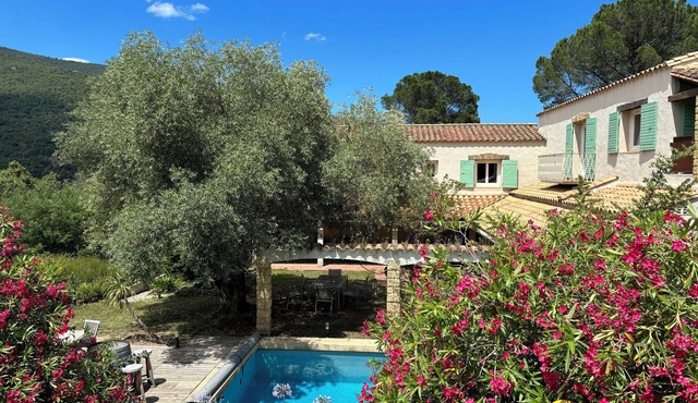 Spacious 4-bedroom mas in lovely Arles-sur-Tech with AC