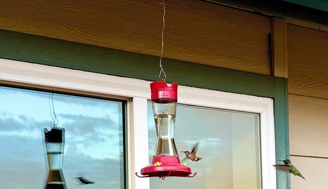 Spacious 4-bedroom house near wonderful Sequoia and Kings Canyon National Park