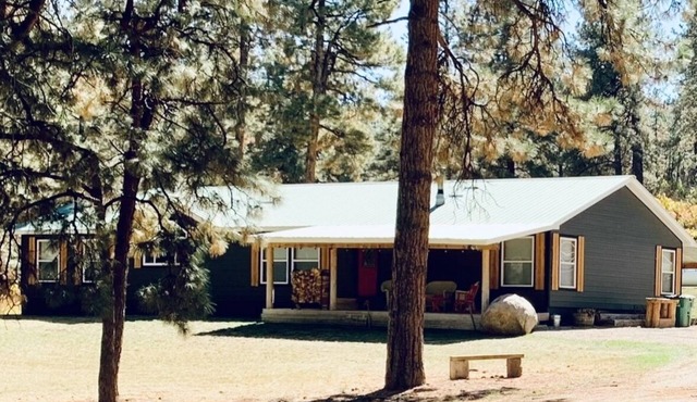 SPACIOUS 4 Bedroom 3 Full Bath Mnt Home, 16 Acres Bordering BLM. Dogs Welcome!