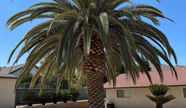 Spacious 4-bedroom house in Riverside with AC
