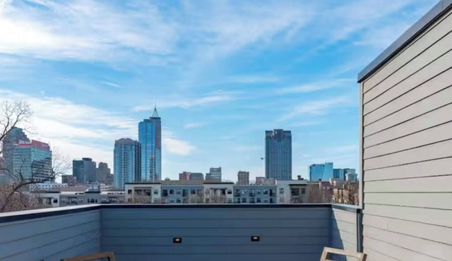 Spacious 4 Bedroom House in Charming Downtown Raleigh with Amazing Views!