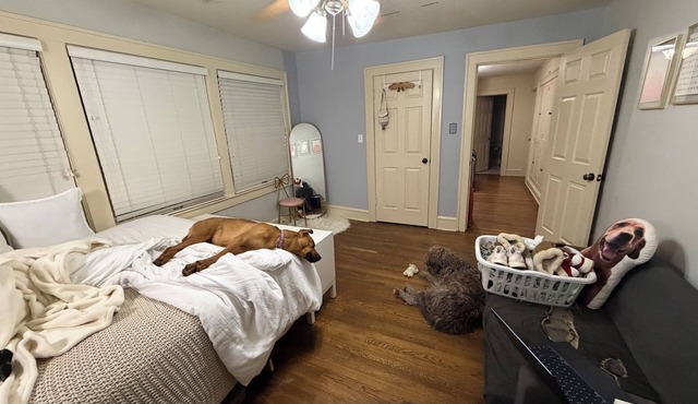 Spacious 4-bedroom house w/massage chair, outdoor patio, near Brookside shops.