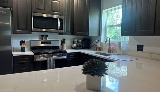 Spacious 4-bedroom walking distance to downtown Ottawa with WiFi, AC, King Beds
