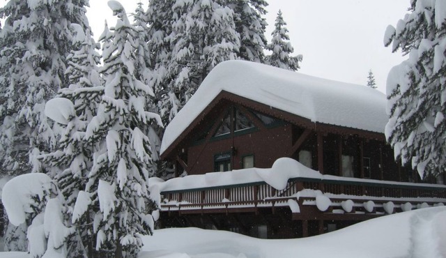 Spacious 4 Season Cabin, Ski in Winter, Lake in Summer