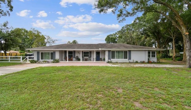 Spacious 4BR + 3.5BA Home, Backyard, Tampa & USF
