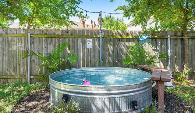 Spacious 4BR house w/Cowboy Pool, Cold Plunge, Gym, Rock Wall in Pflugerville